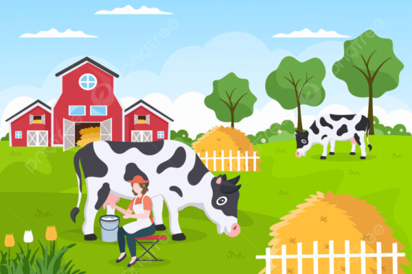 Dairy Farm Jobs in Germany